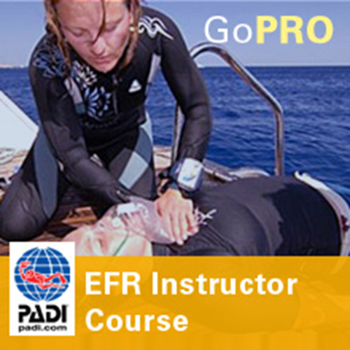 Efr Instructors Course